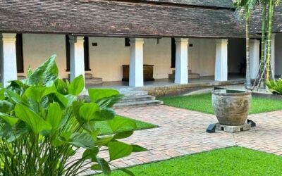 494106516_1264765568789937_2386672022373468289_n